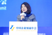 董明珠：別人做芯片股價漲我做就跌，因為我們是真做