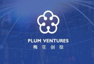4年3家上市公司，張筱燕詳解梅花創投投資策略：這樣捕獲明星企業