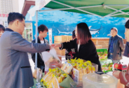 自貿區政策紅利可期，供銷大集與海南商業共成長