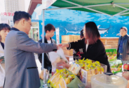 供銷大集深度發力電商扶貧，今日應聲漲停