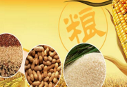 全球刮起“糧食荒” ，我國加強糧食進口儲備
