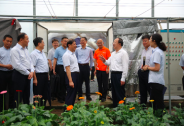 直面困難，創(chuàng)新突破：山東省副省長于國安蒞臨金正大專題調(diào)研