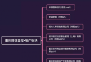 重慶財信：光環之下，陰影重重