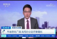 重磅！“3060目標”下風電向好，央視聚焦報道！