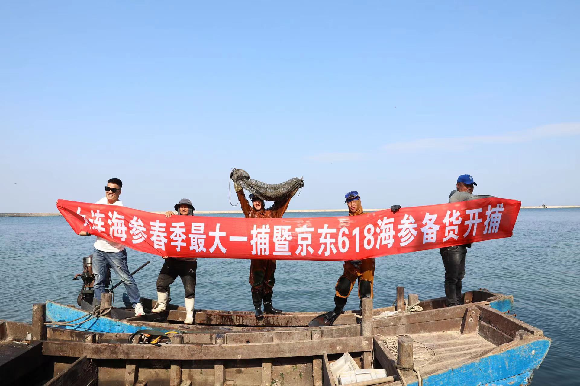 大連海參春捕季開捕：捕撈破百萬斤，產量創五年新高，預計價格下行，海參自由將至