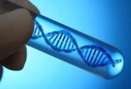諾未生物完成Pre-B+輪融資