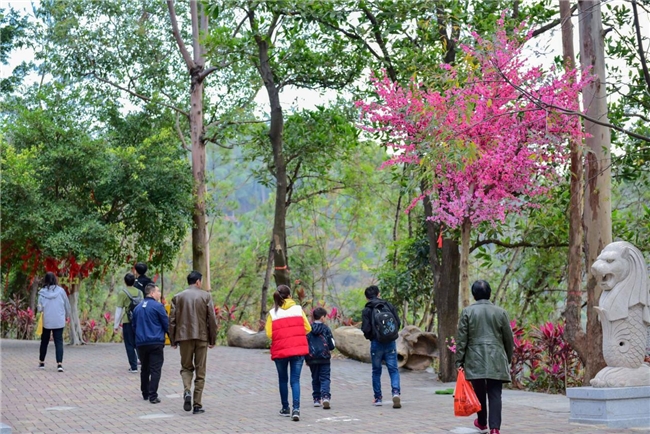 觀音山：自然教育高質量發展的范本  ——廣東觀音山國家森林公園厚植自然教育沃土