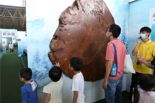 觀音山：自然教育高質量發展的范本  ——廣東觀音山國家森林公園厚植自然教育沃土