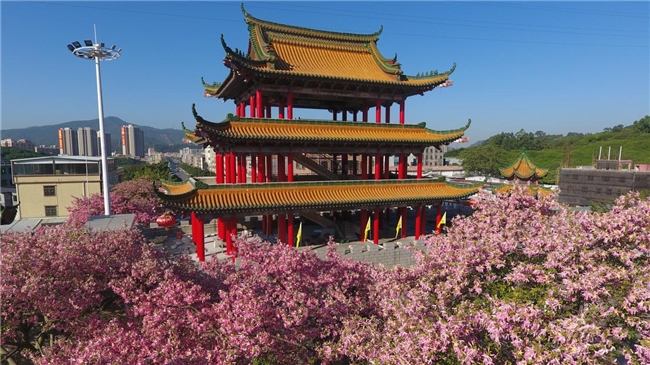 讓傳統(tǒng)文化浸潤城市人文品格  ——廣東觀音山傾力打造文化名山紀(jì)實(shí)