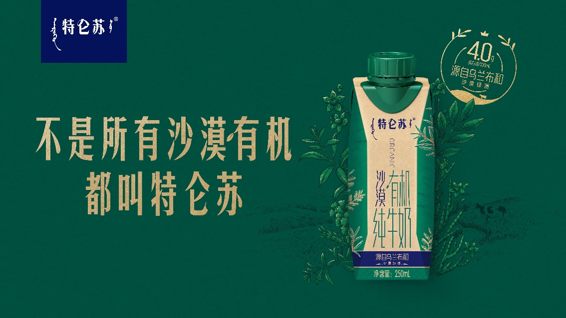 圖片12