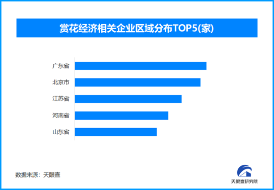 賞花經(jīng)濟(jì)引多產(chǎn)業(yè)共繁榮，全國共有賞花經(jīng)濟(jì)相關(guān)企業(yè)超1000家